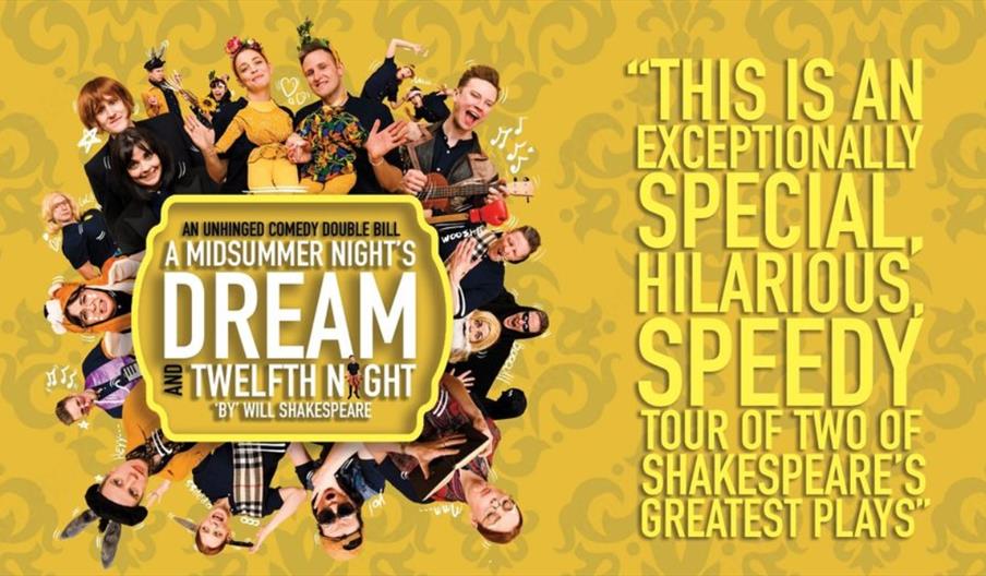 A Misummer Night's Dream and Twelfth Night