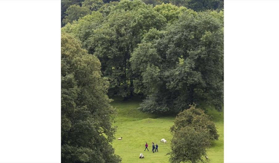 image of people walking through parkland