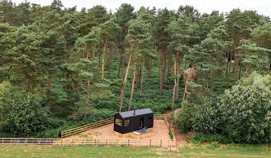 Mizar - off-grid cabin in Staffordshire.