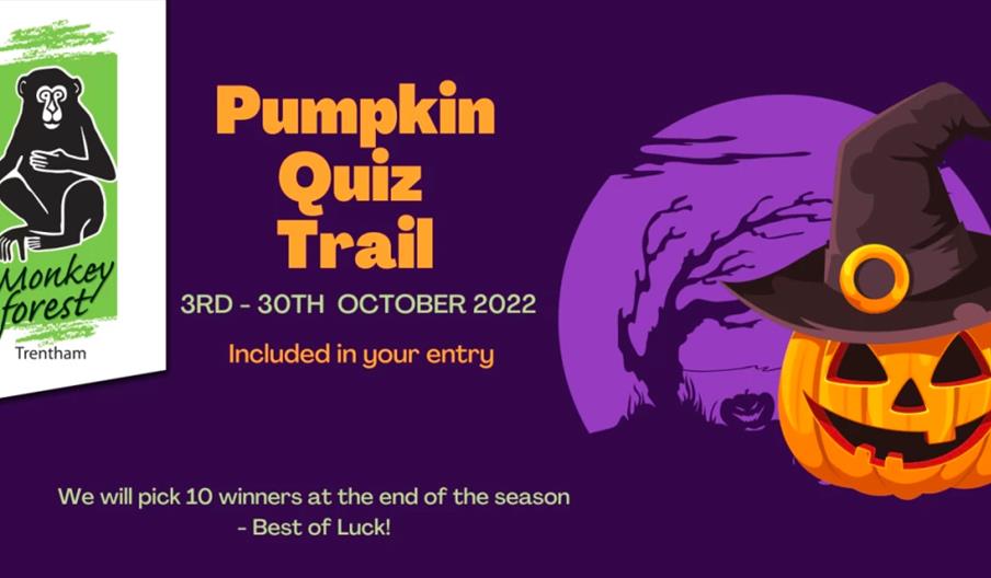 A graphic for the Pumpkin Quiz Trail at the Monkey Forest, Staffordshire this October