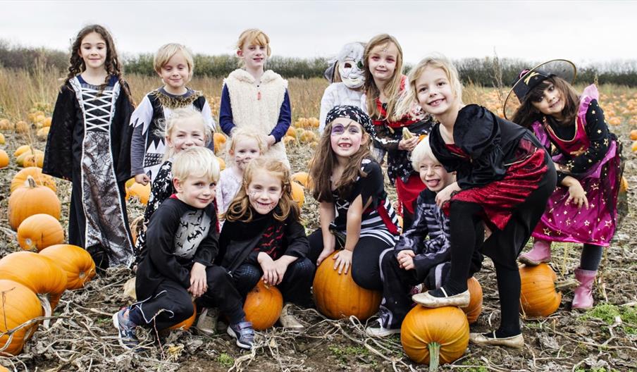 Children in frightful fancy dress among the pumpkins at the National Forest Adventure Farm, Staffordshire