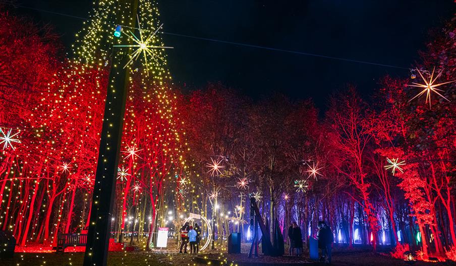 See the National Memorial Arboretum in a new light this Christmas!