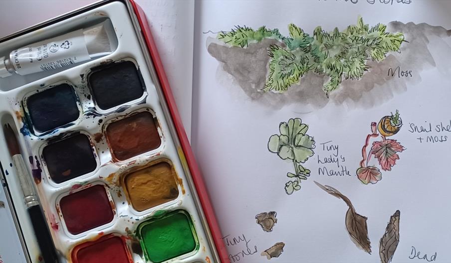 Dovedale: Nature Journals