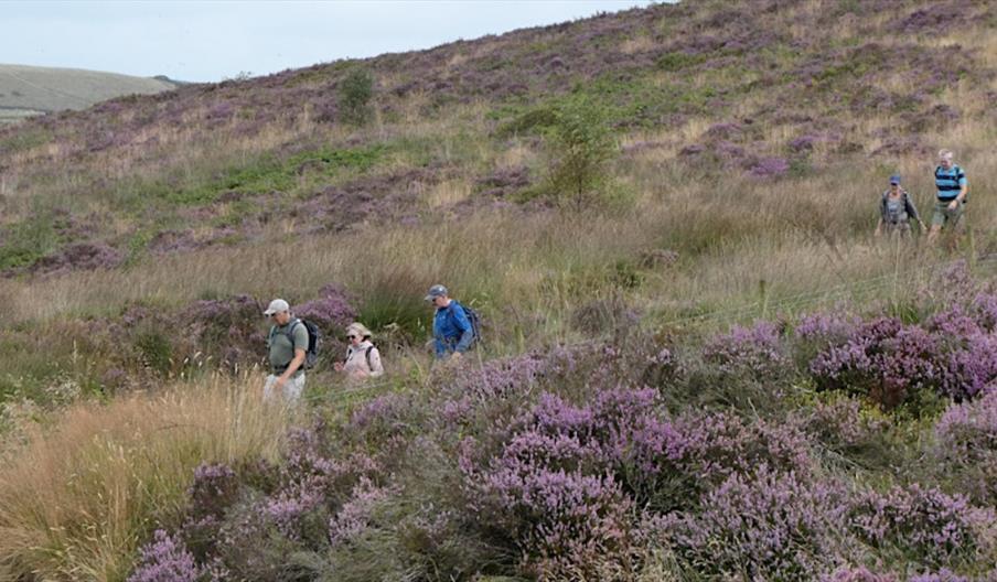 Walk the Moorlands - Neighbourly Staffordshire