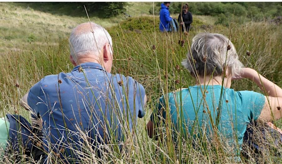 image of two people sat amongst rush
