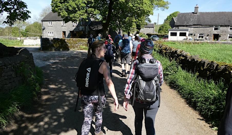 image of a group of walkers