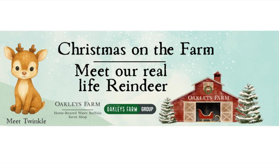 Santa’s Secret Reindeer Training Camp