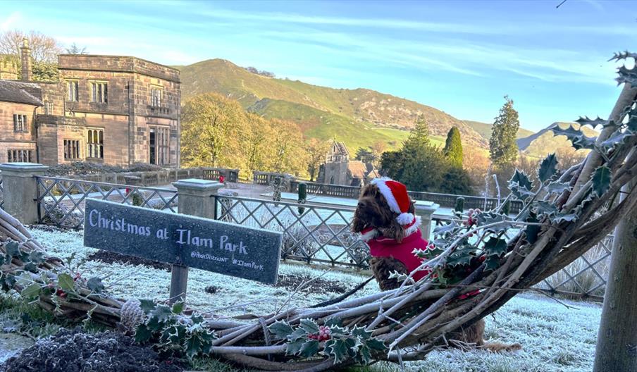 Operation Save the Sleigh Trail