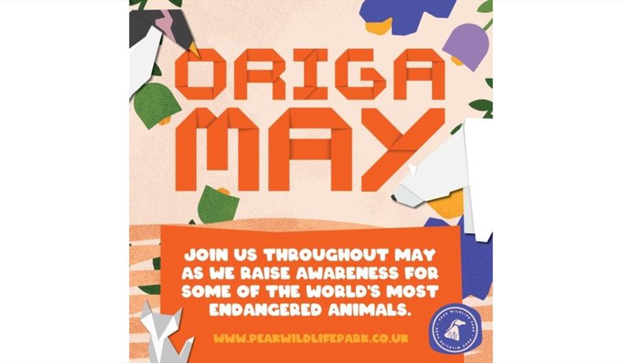 Origa May