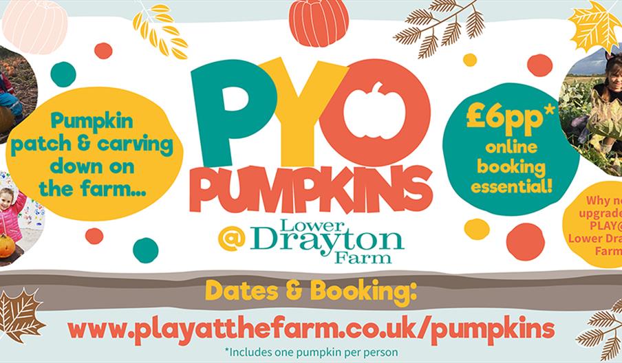 PYO Pumpkins at Lower Drayton Farm