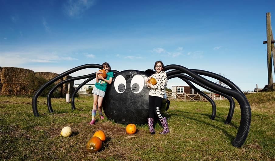 Image shows a sunny day at Lower Drayton Farm, with two children holding pumpkins, in front of a giant spider sculpture