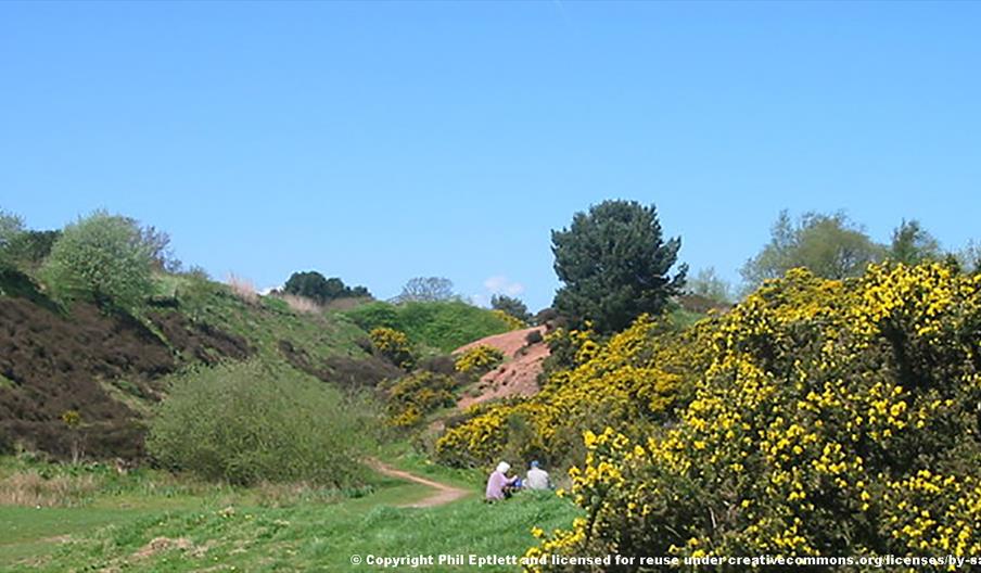Park Hall Country Park in Stoke-on-Trent, Staffordshire. Image: Phil Eptlett.