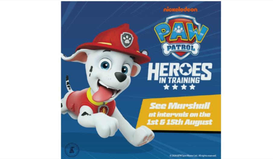 Paw Patrol - Heroes in Training