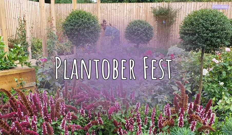 Sweet Meadows Plant Centre - Plantober Fest