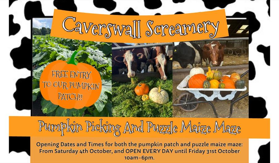 Pumpkin Picking & Maize Maze