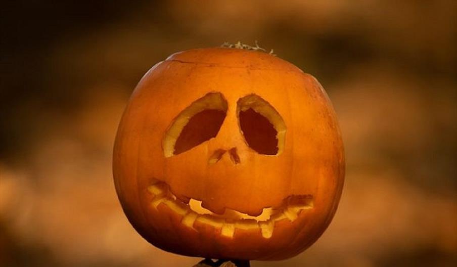 A spooky pumpkin at RSPB Coombes Valley, Staffordshire