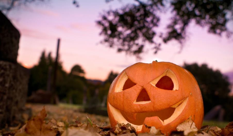 Menacing Monsters Halloween Trail