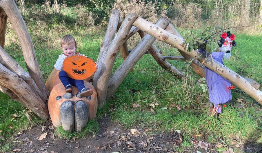 RSPB Coombes Valley Halloween trail