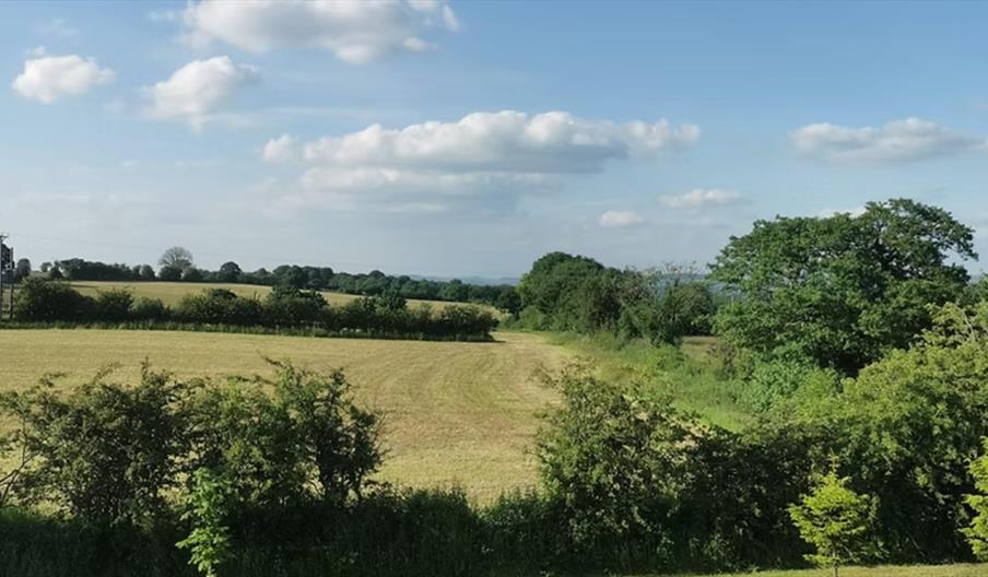 Richmore Hall Campsite
