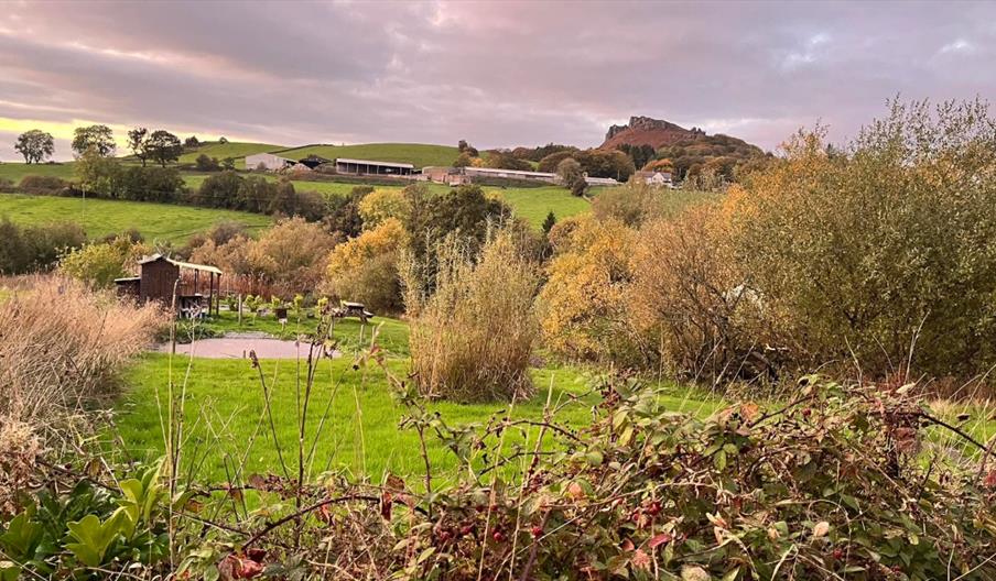 Roaches Retreat Eco Glampsite