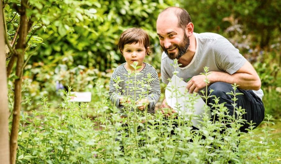 A father and daughter look for creepy crawlies in the bushes at Middleton Lakes, Staffordshire