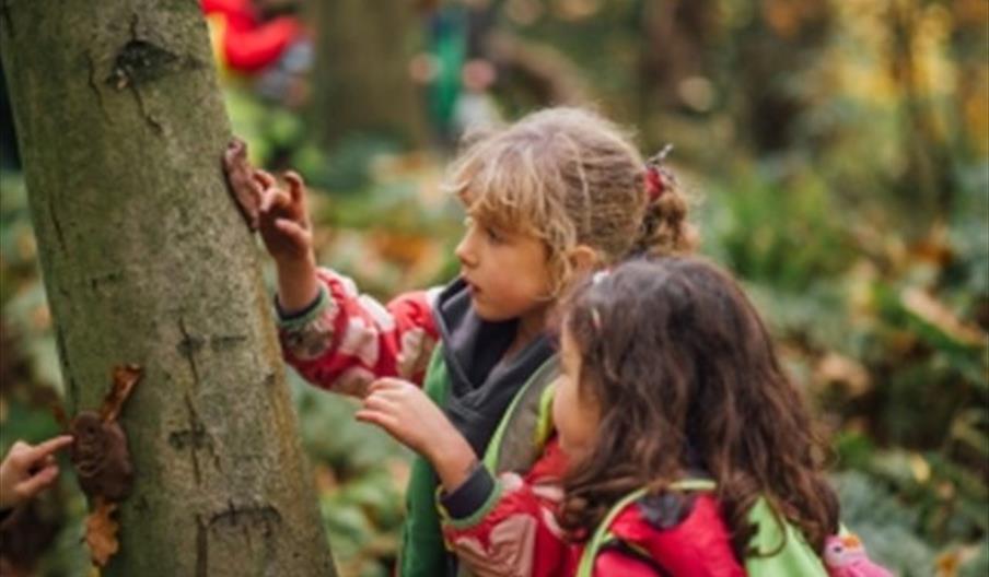image of 2 children looking at a tree