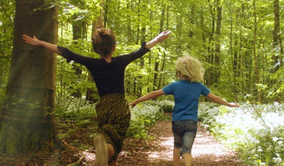 children running along forest path