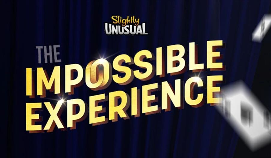 The Impossible Experience Poster