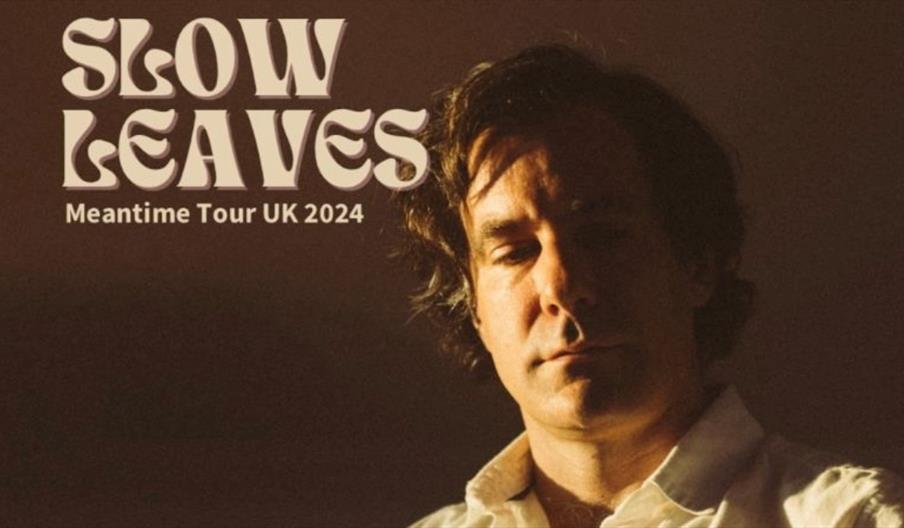 image of the artist Slow Leaves