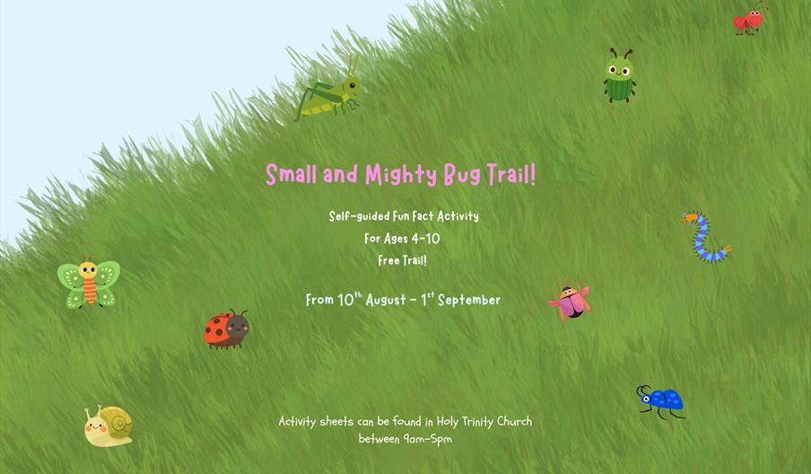 Small and Mighty Bug Trail