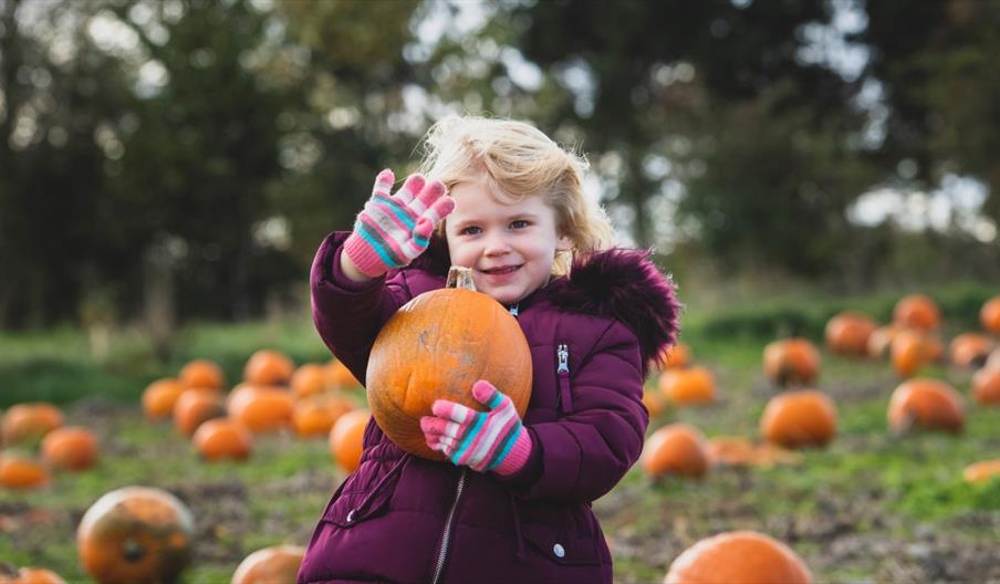 Halloween Spooktacular at Adventure Farm near Burton on Trent