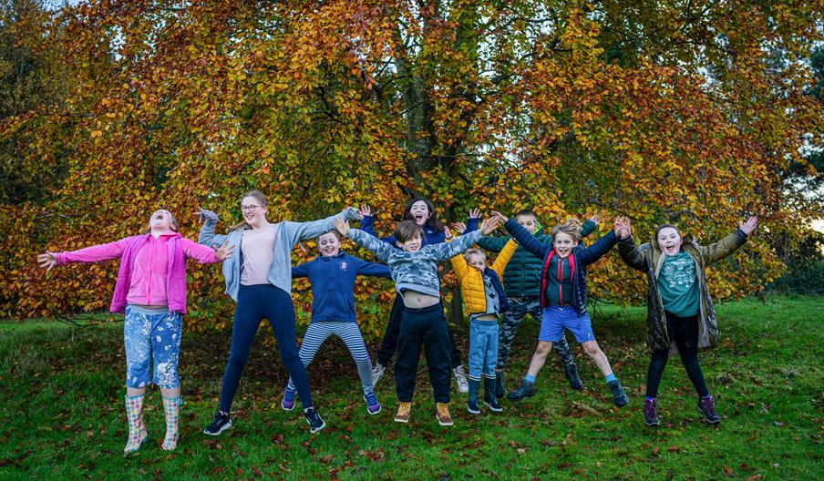 A group of children in a forest clearing jump into the air