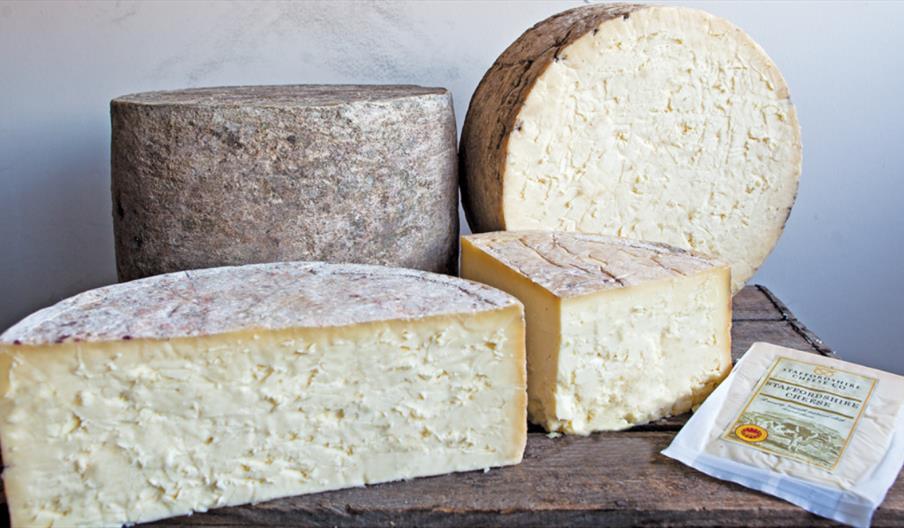 Staffordshire Cheese Company