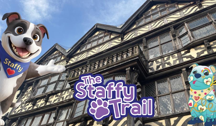 The Staffy Trail - Stafford