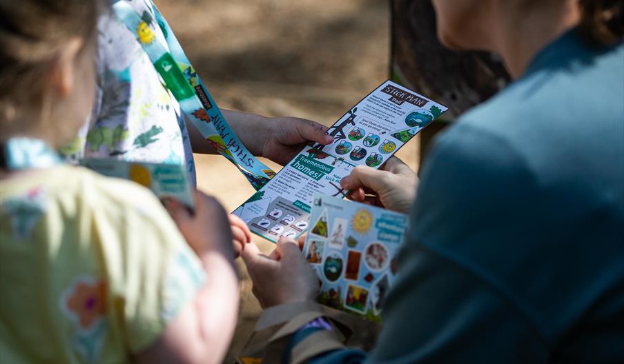 Visitors look at the map and activity pack on The Stick Man Trail at Cannock Chase Forest