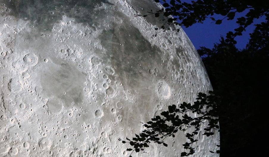 image of the moon