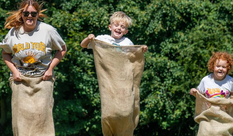 Ilam Park - Summer of Play