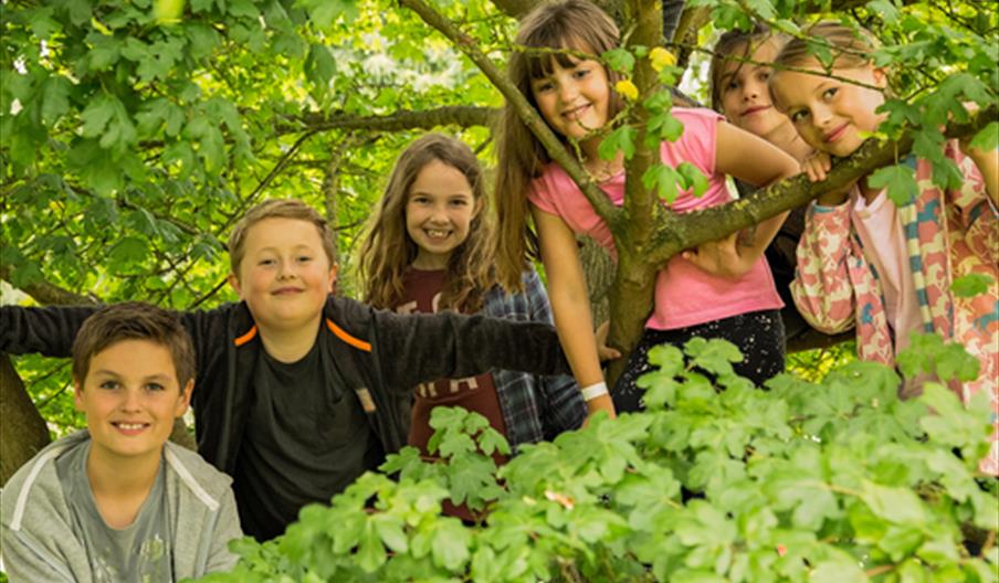 Staffordshire Wildlife Trust Burton Workshops
