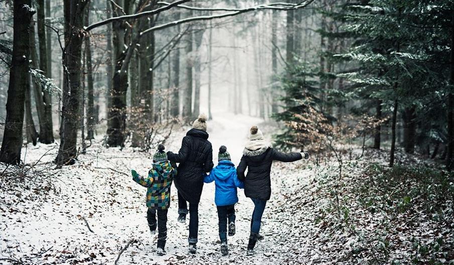 A family enjoys a wintry walk through the woods at Tittesworth Water, Staffordshire