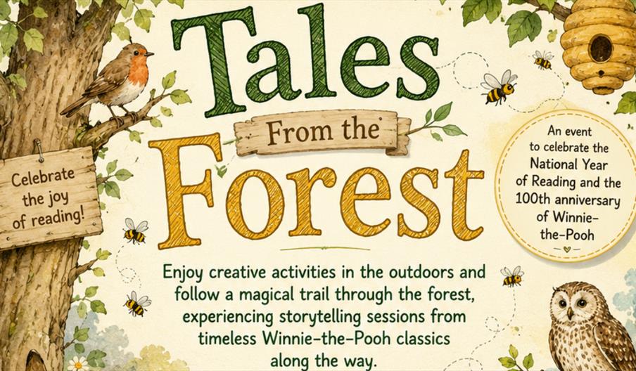 Tales from the Forest