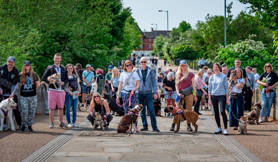 Tamworth dogs and owners on the dog friendly trail at the castle grounds.