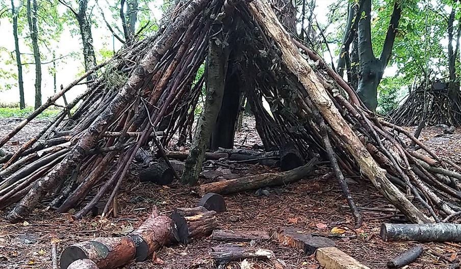 Tanglewood: Survival Skills