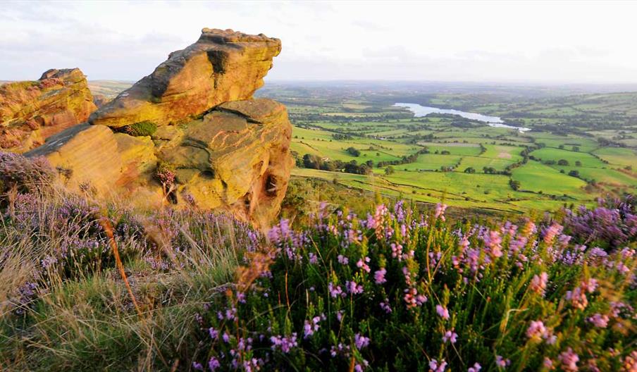 The view from the Roaches, photo by Cathy Bower