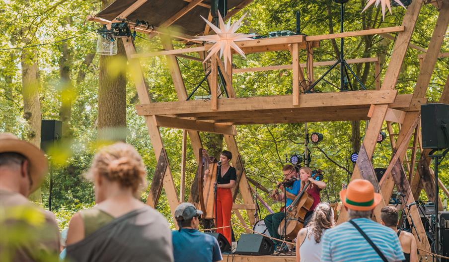 Timber Festival 2022