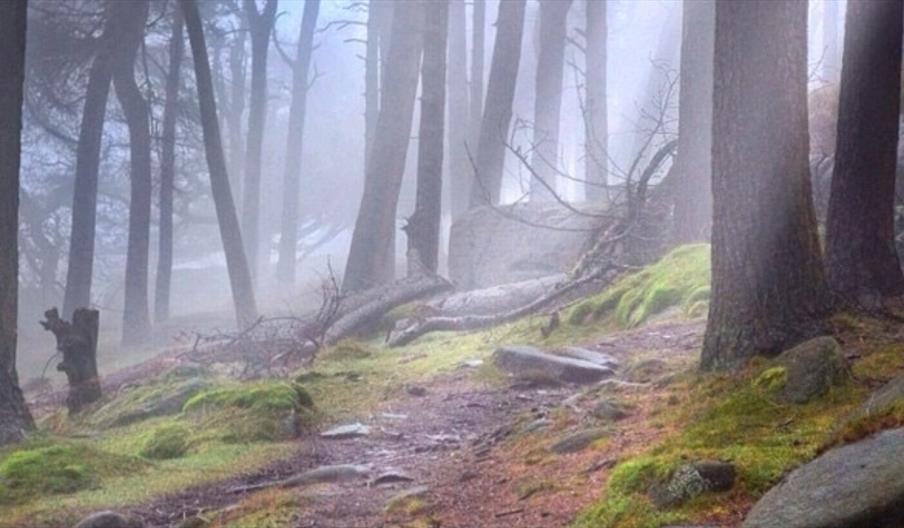 SMWF 2026 - The Mythstoric Moorlands