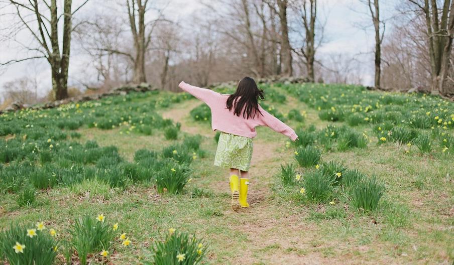 Image shows a young girl walking between the flowers on a hill