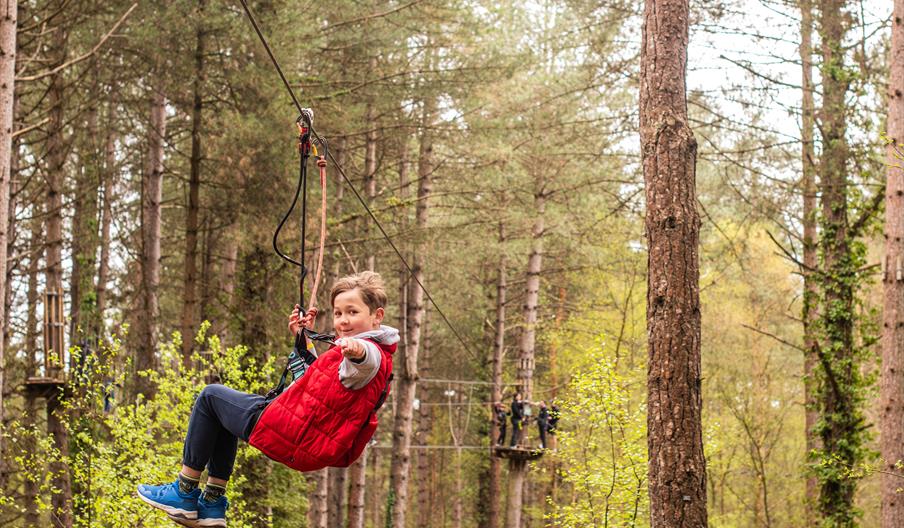 February Half Term at Go Ape Cannock
