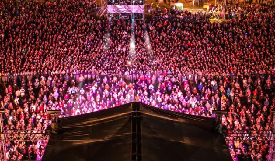 The excited crowd awaits the next act at Trentham Live, Staffordshire