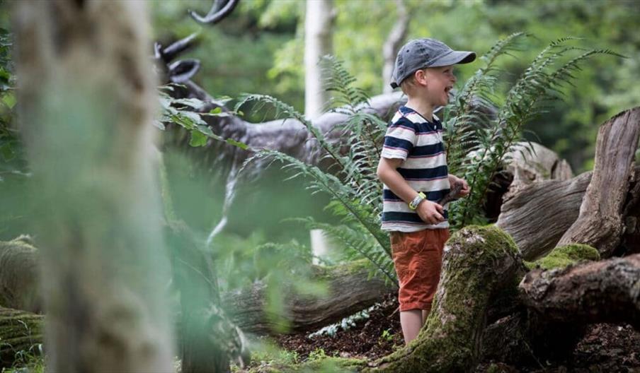 Wildings at Trentham Gardens
