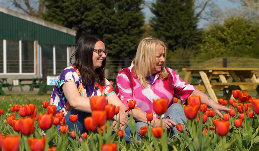 Immerse yourself in the beauty of nature at Tulips at the Farm